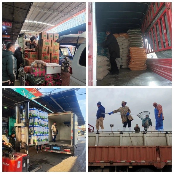 寒潮来袭，武汉白沙洲多举措保障“菜篮子”供应